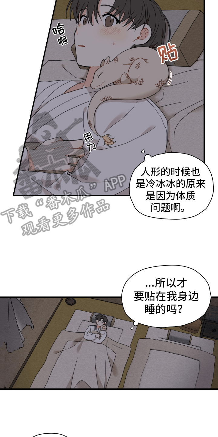 第15章：体质13