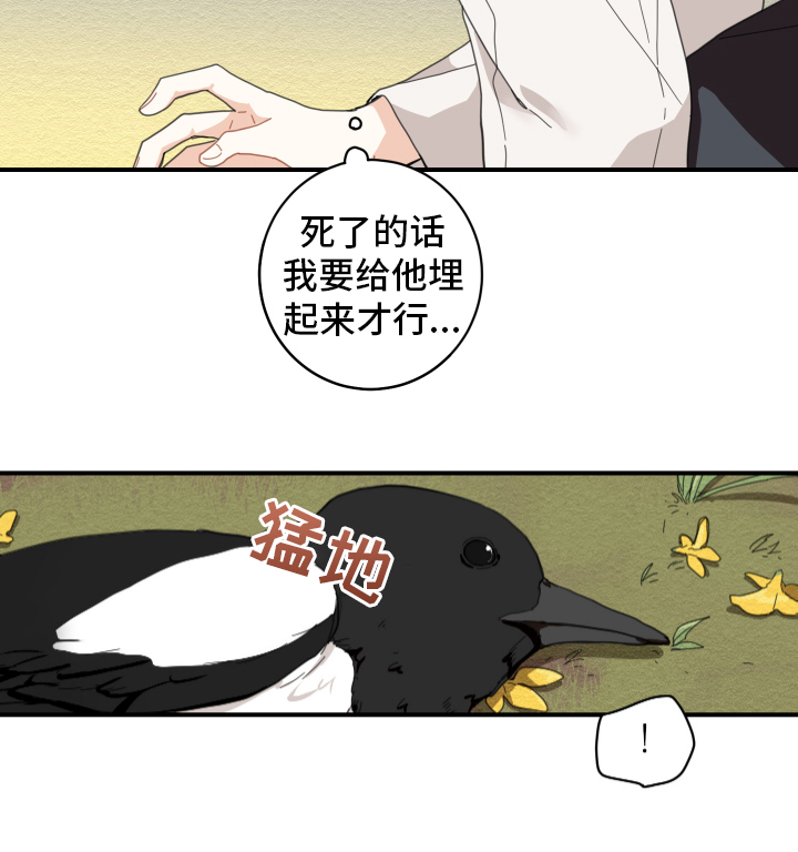 第1章：小心翼翼13