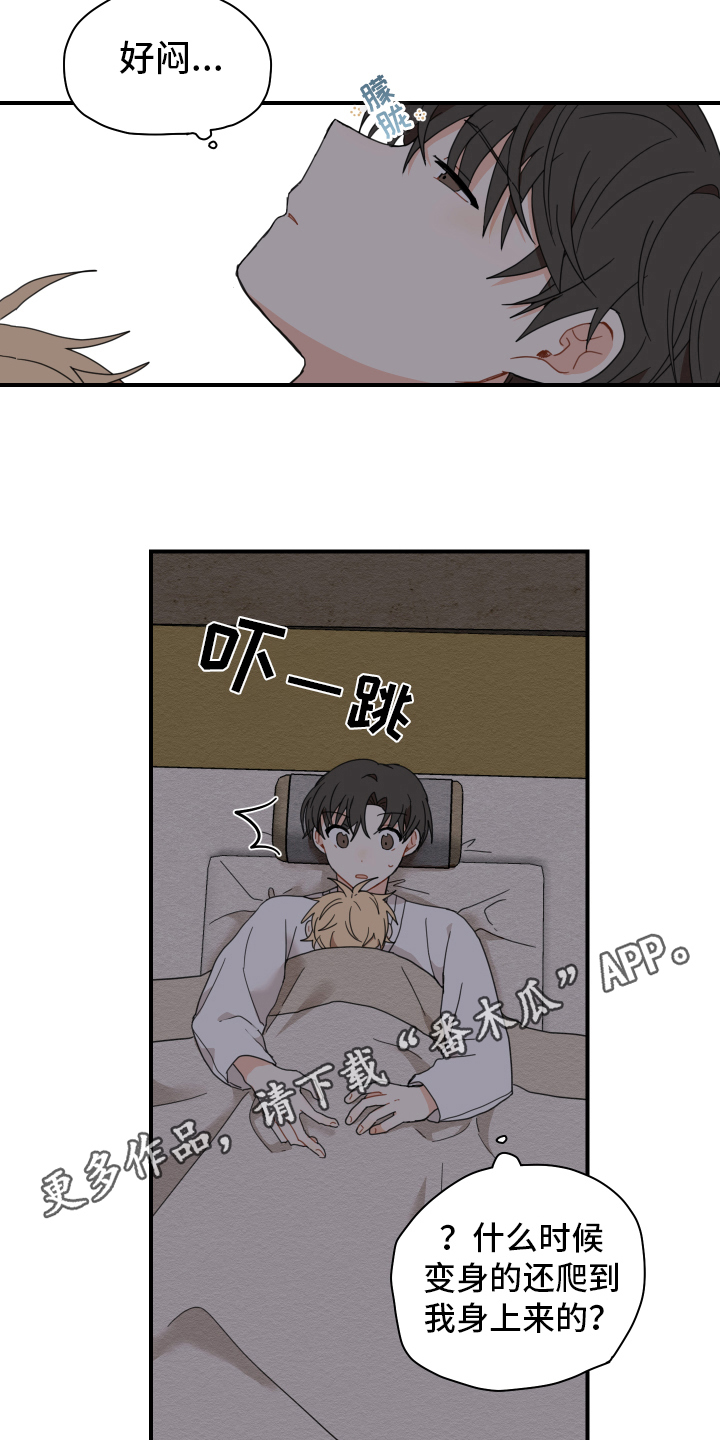 第15章：体质14