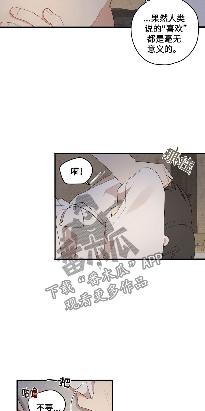 第52章：不要17