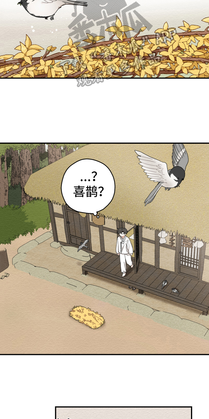 第17章：生活6