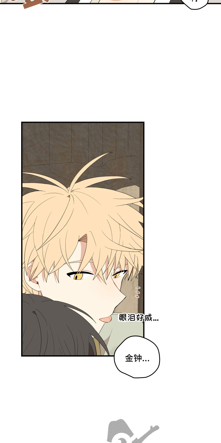 第44章：最喜欢了14