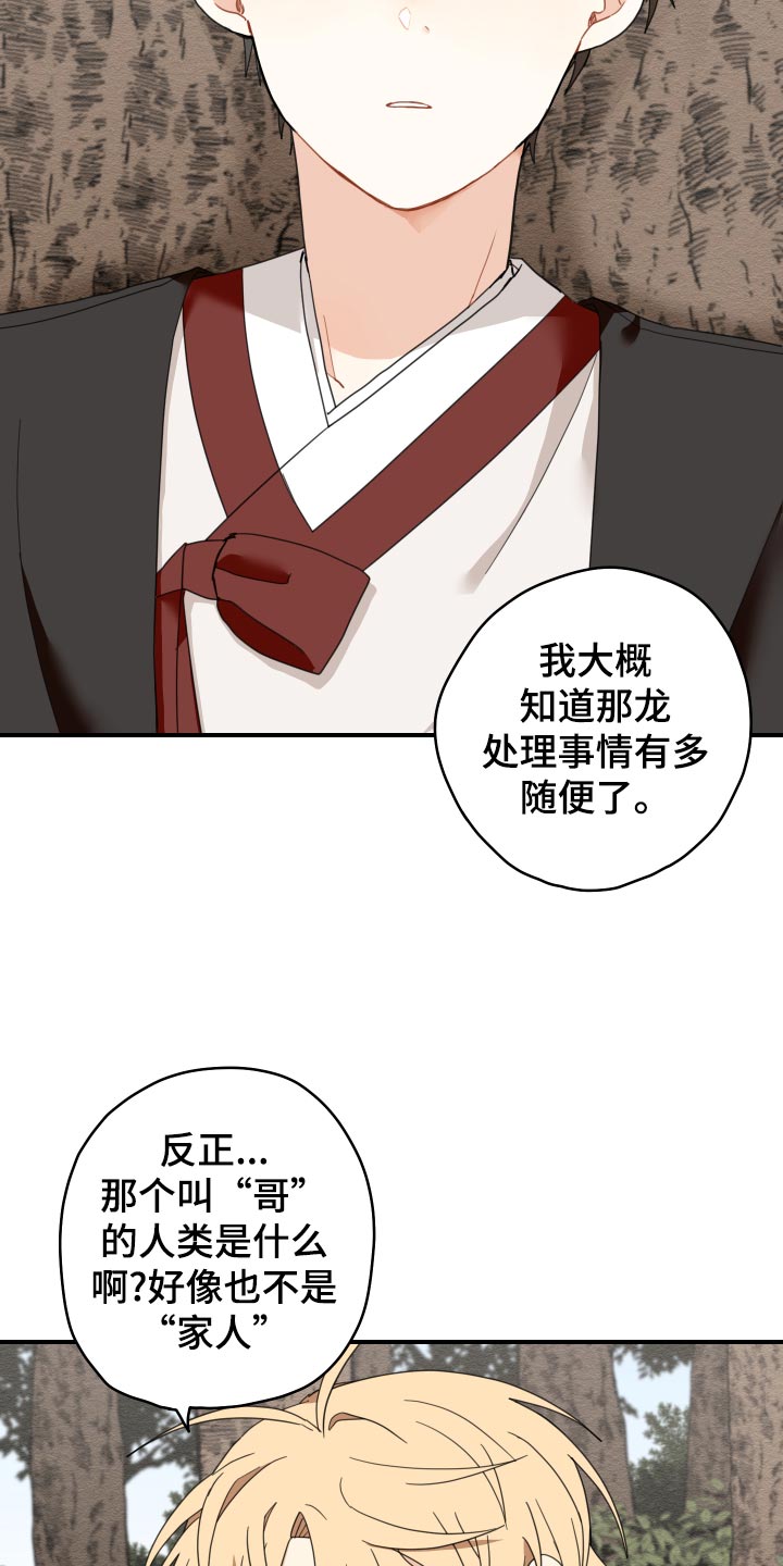 第20章：龙罚9
