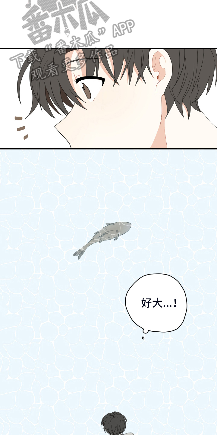 第8章：抓鱼11
