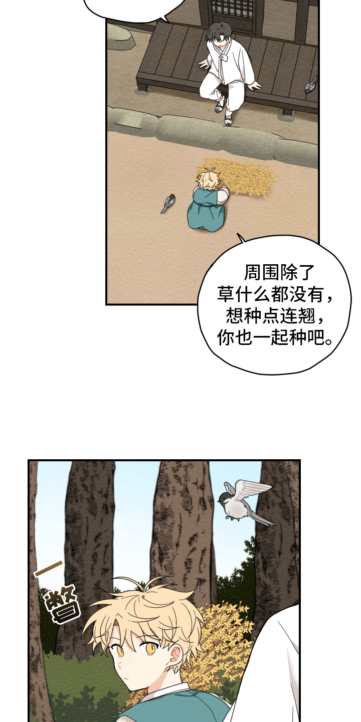 第17章：生活10