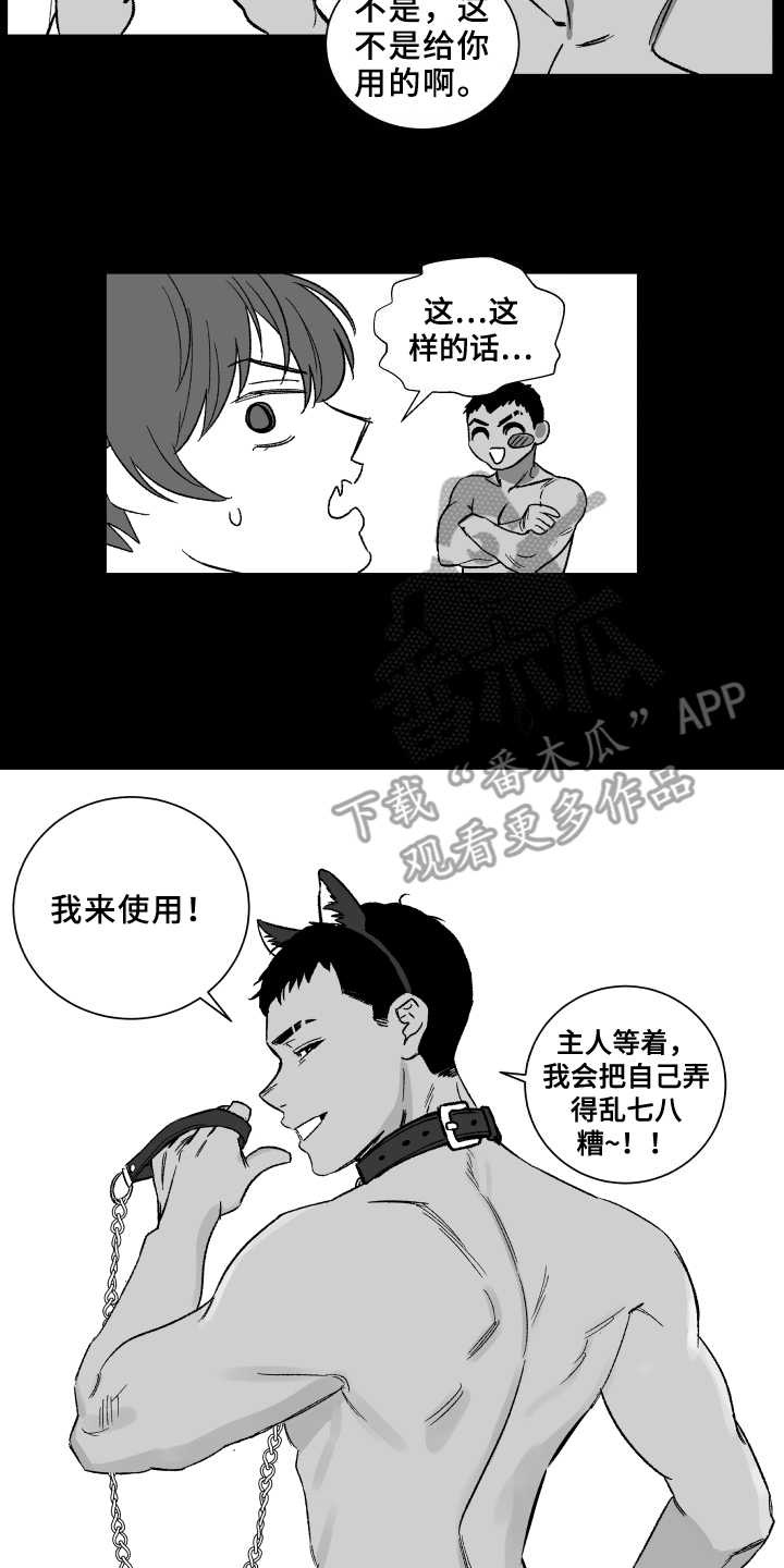 第6章：套装1