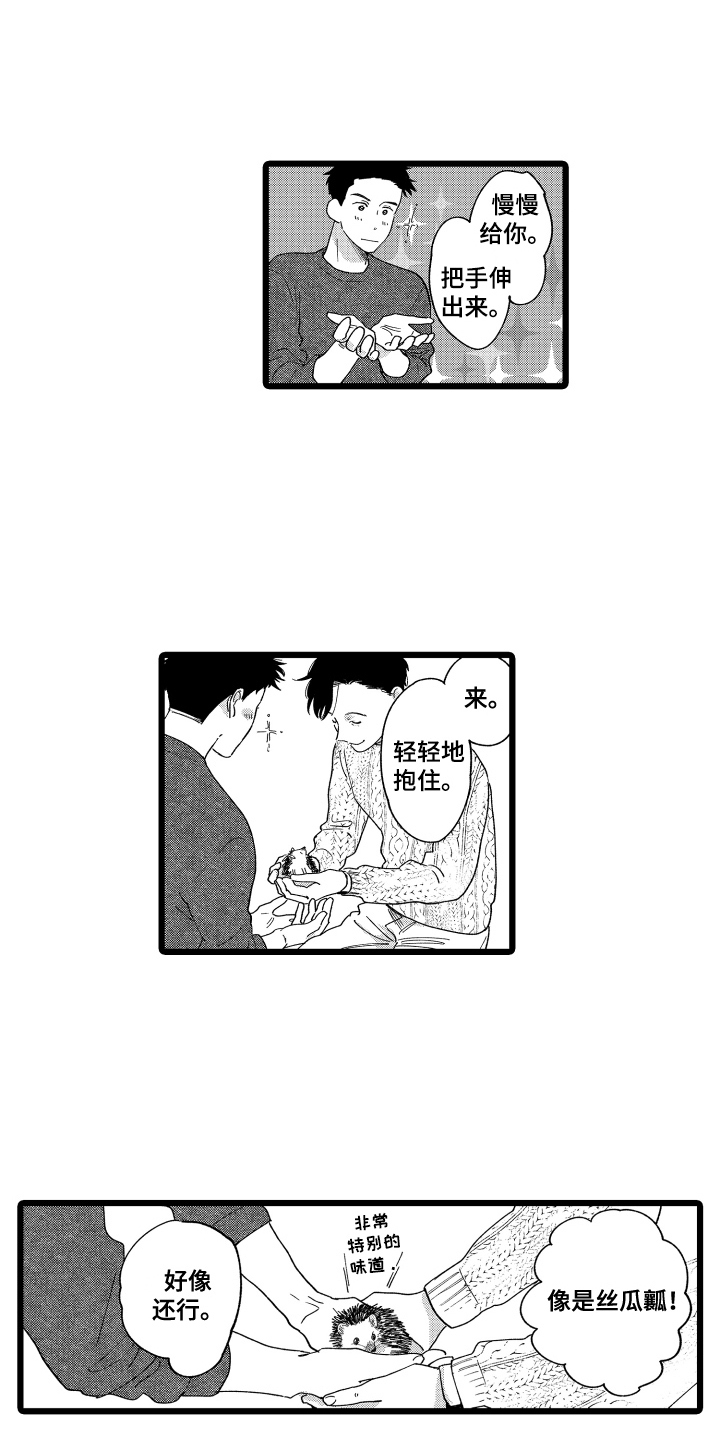 第16章：提议9