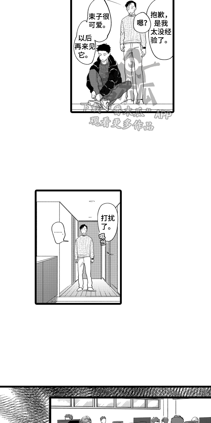 第17章：在意6