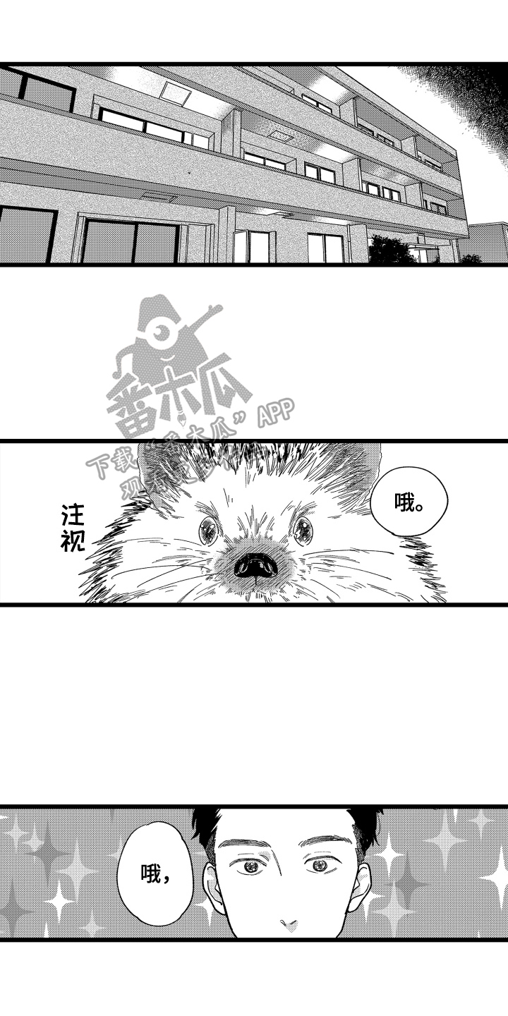 第16章：提议5