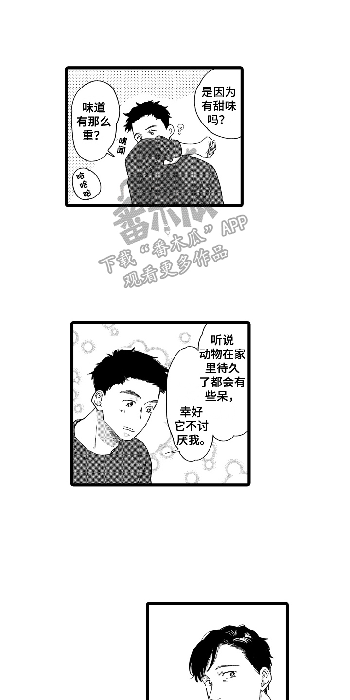 第16章：提议7
