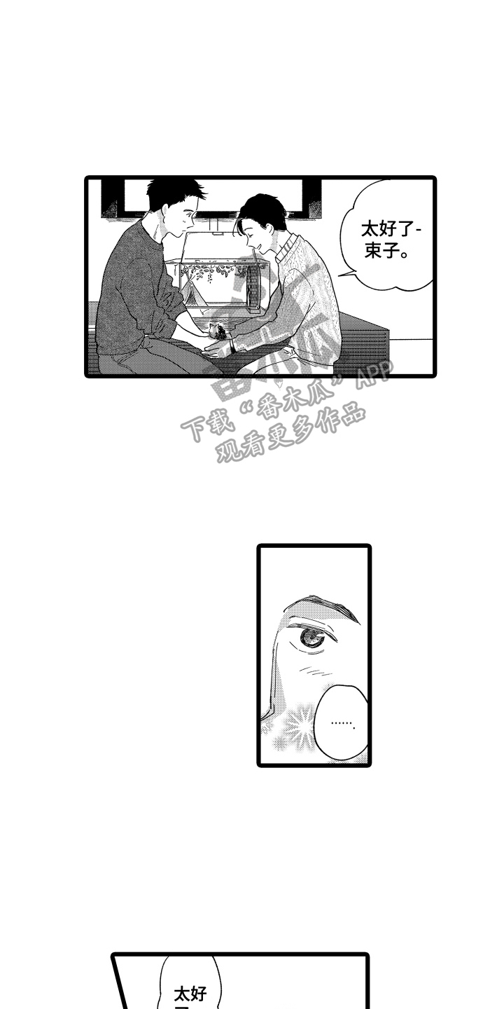 第16章：提议10