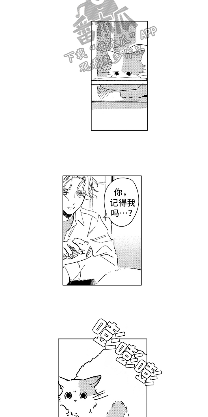 第26章：惊喜3
