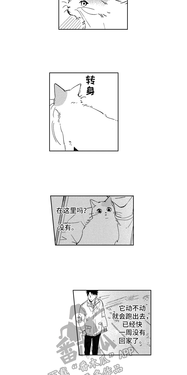 第22章：寻找11