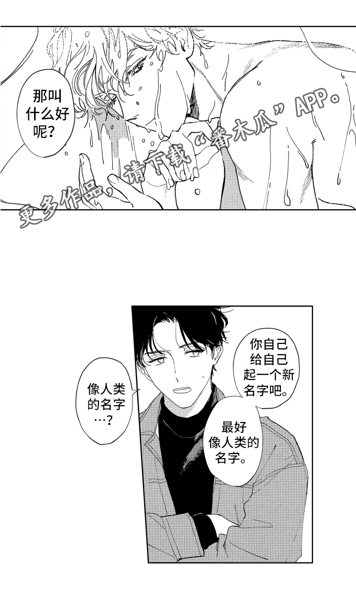 第4章：名字11