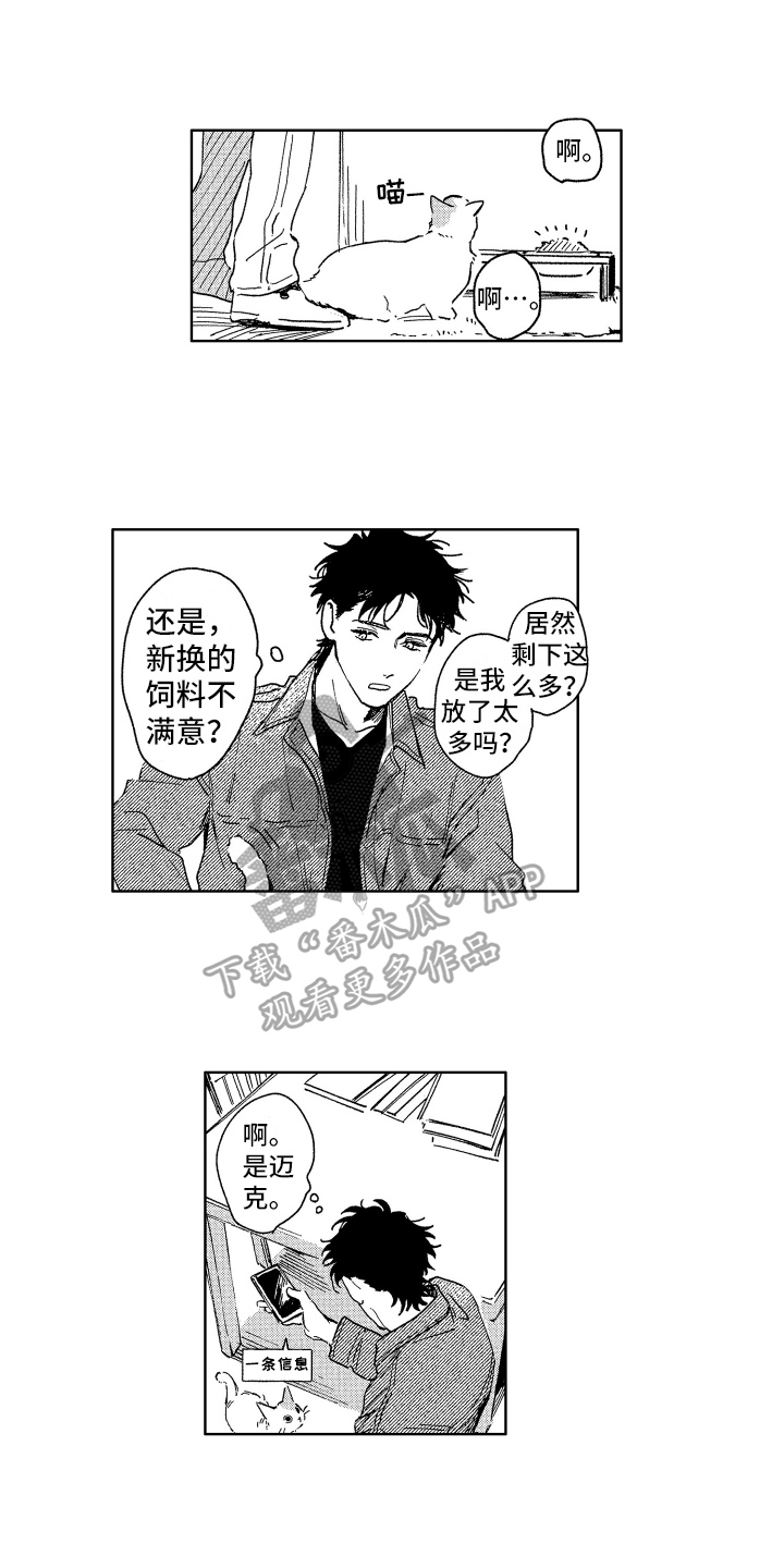 第26章：惊喜7