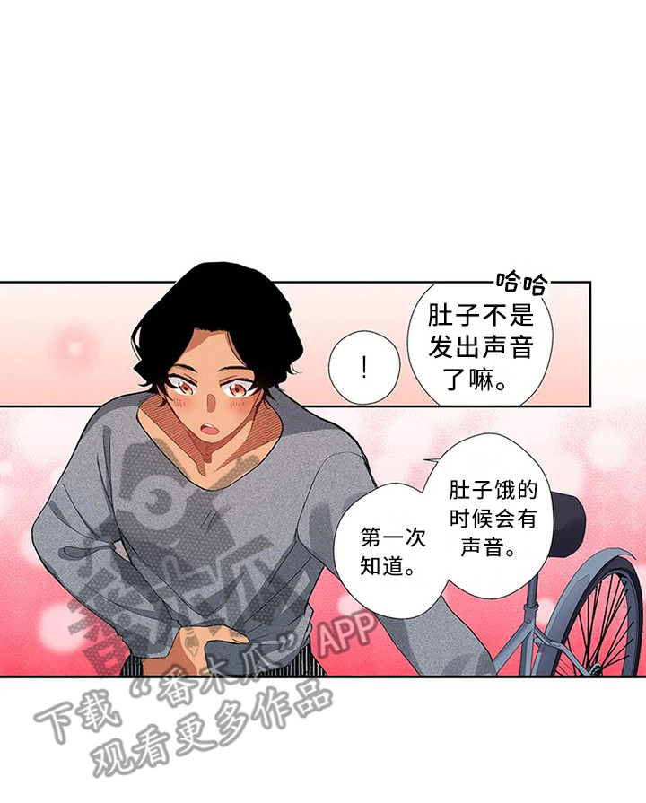 第12章：又见面了13