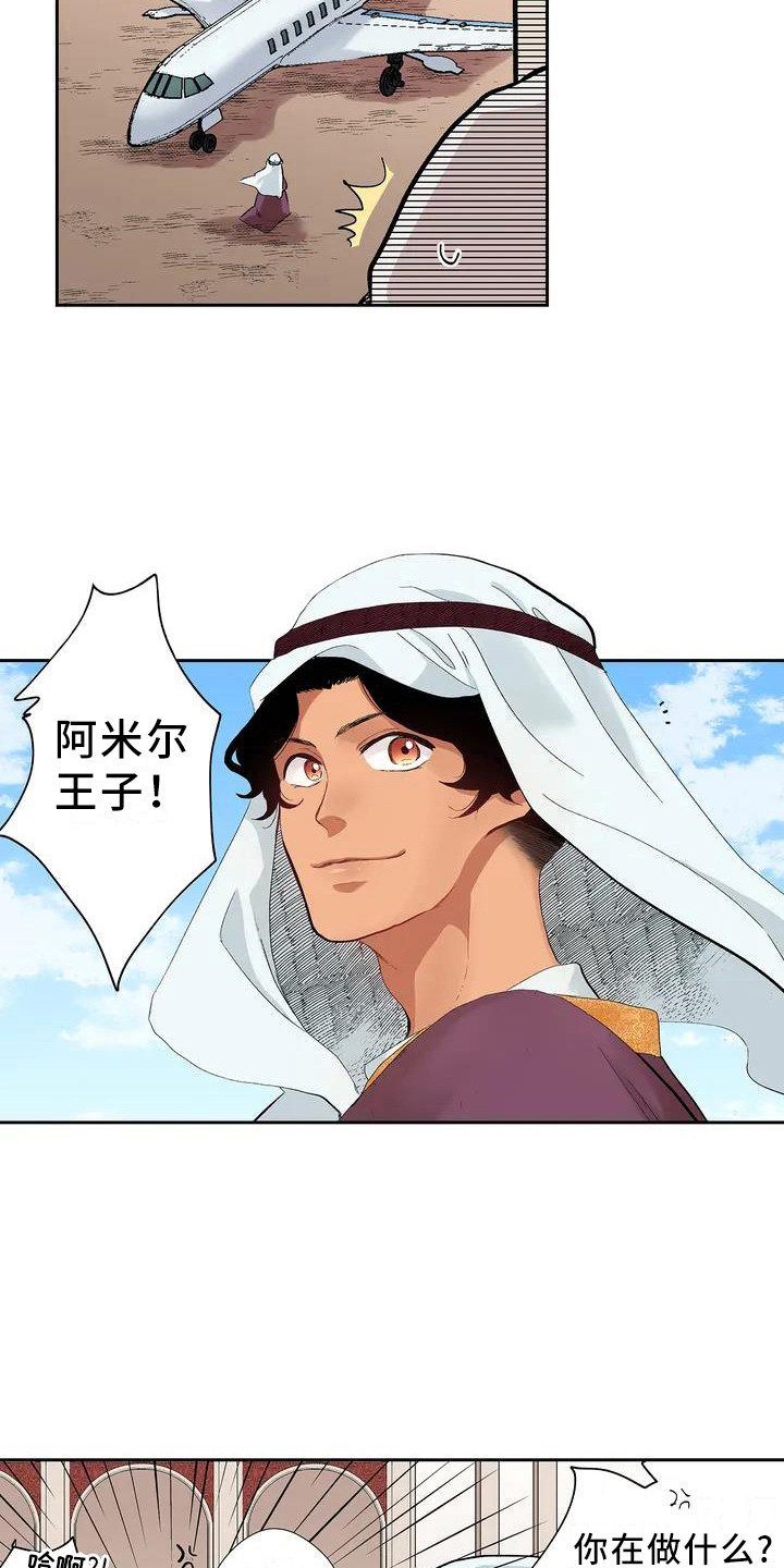 第1章：王子1