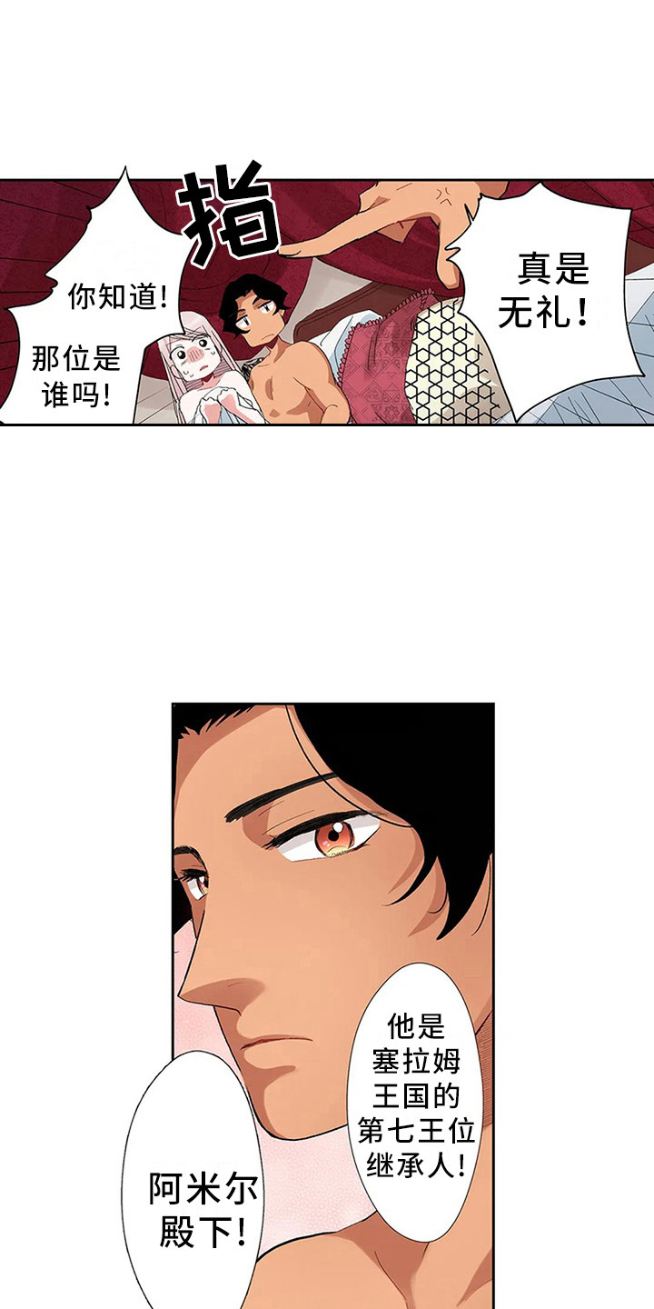 第6章：奢华0