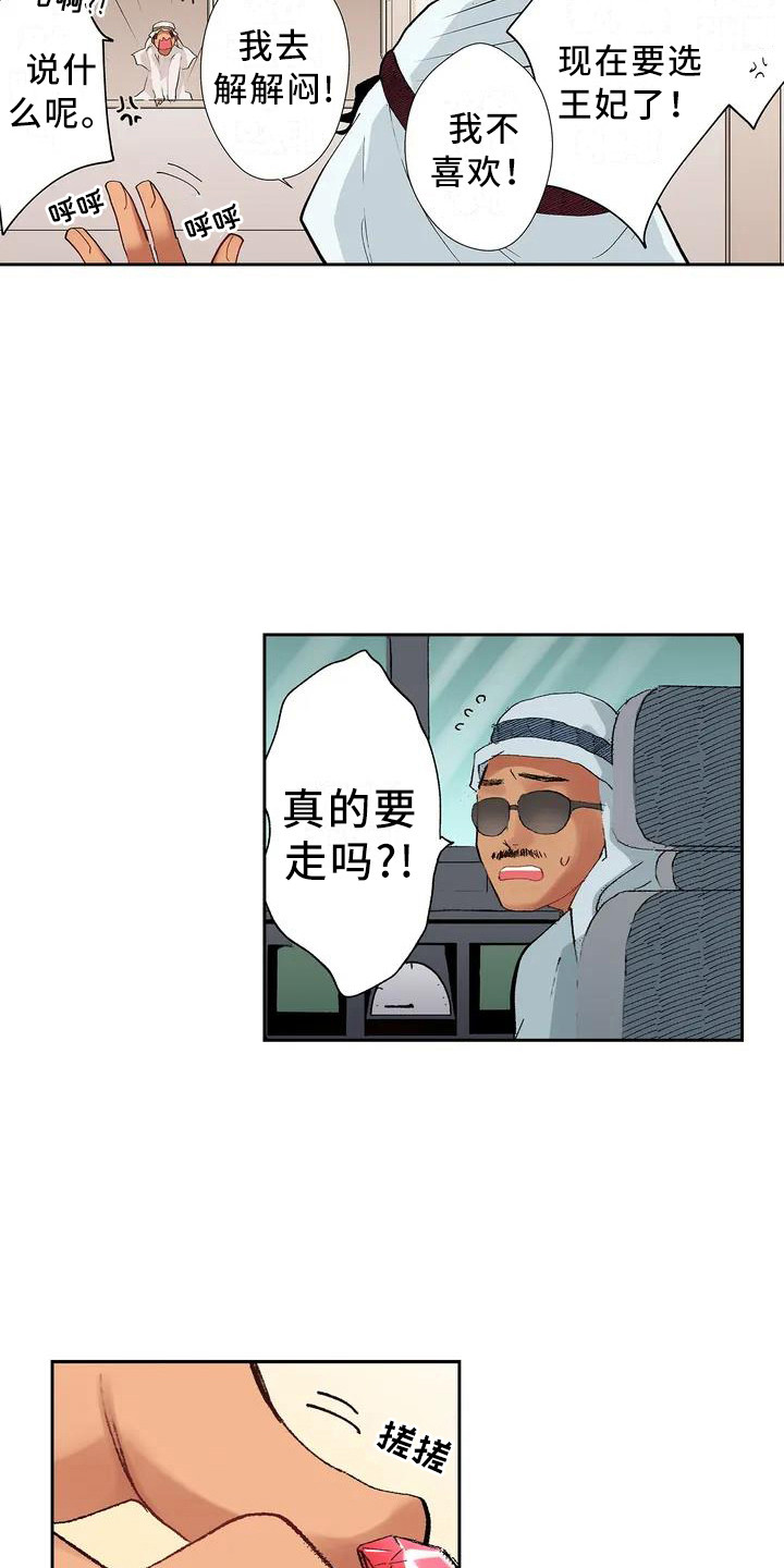 第1章：王子2