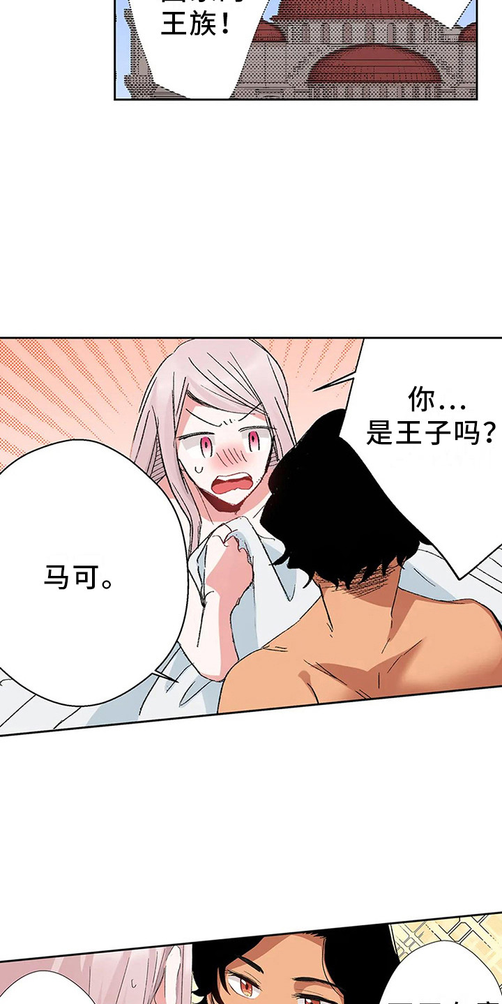 第6章：奢华2