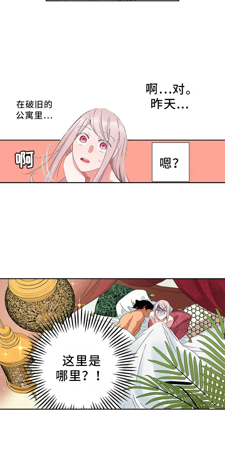 第5章：找到王妃了8