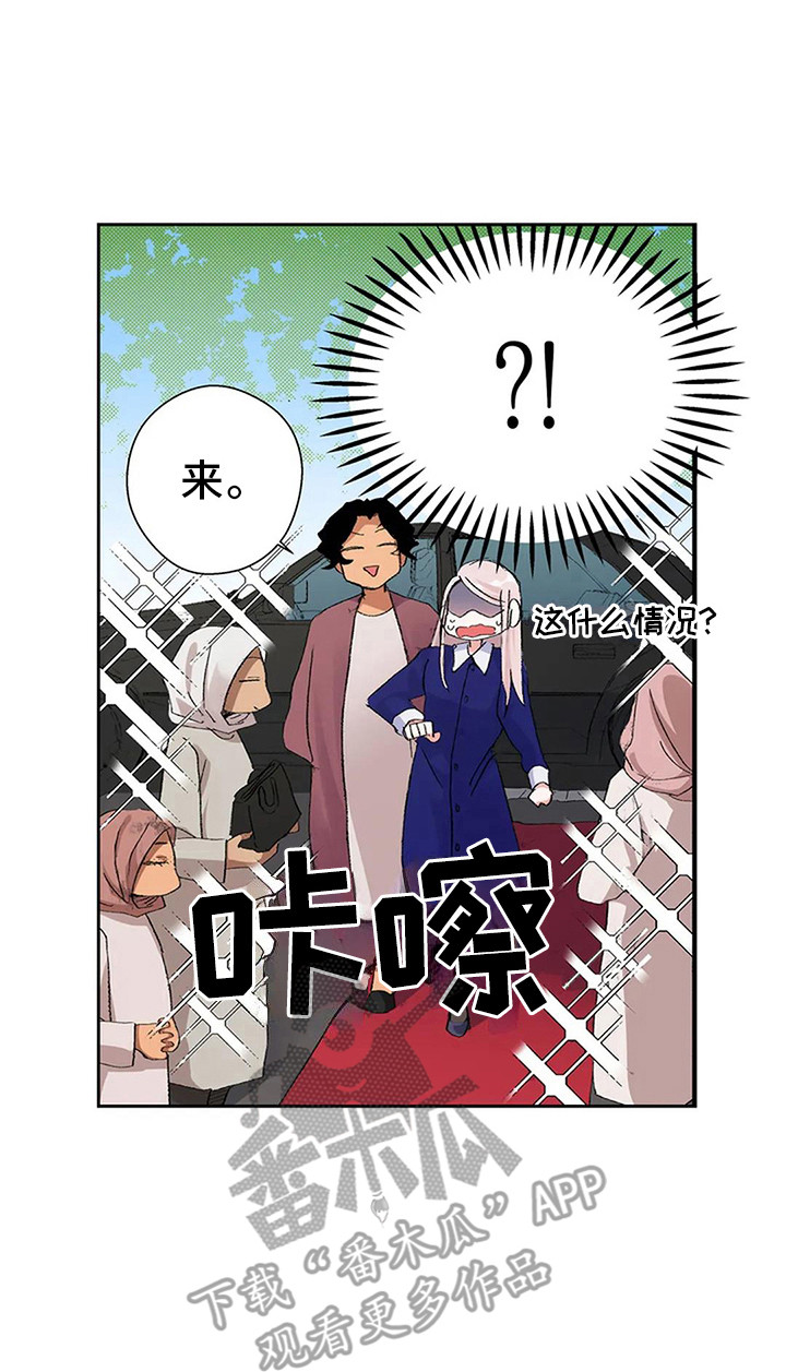 第6章：奢华13