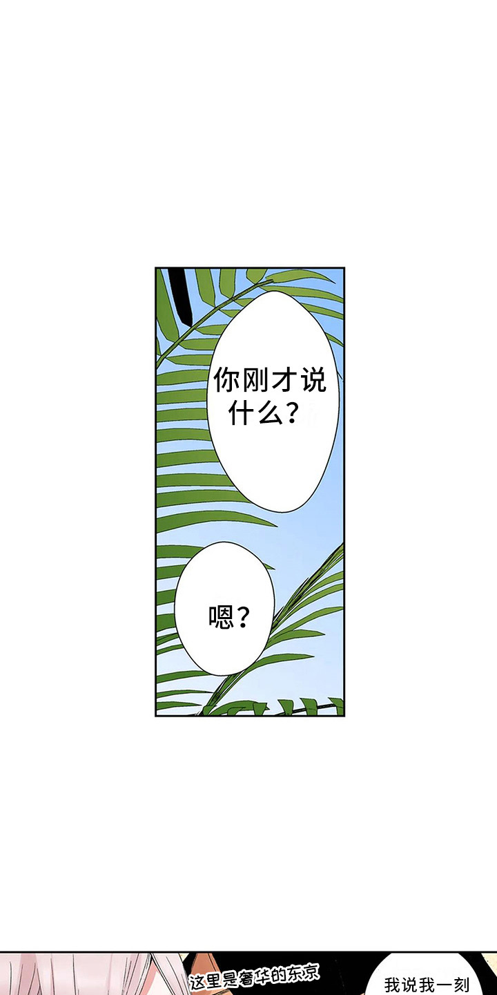 第6章：奢华6