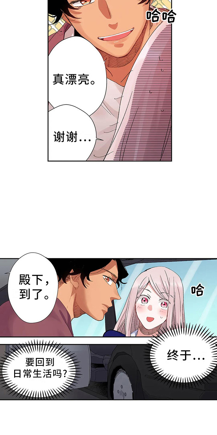 第6章：奢华12