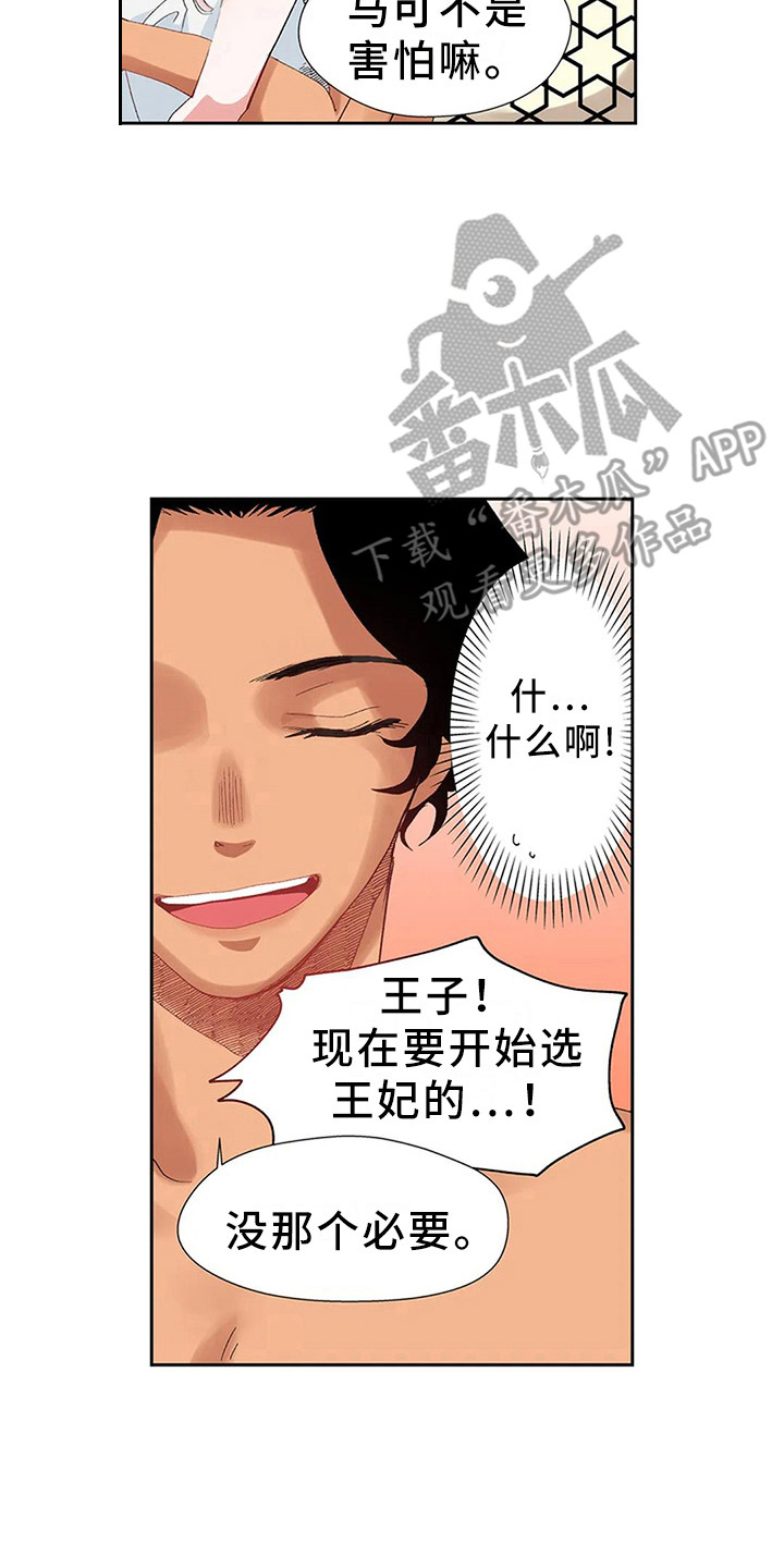 第5章：找到王妃了12