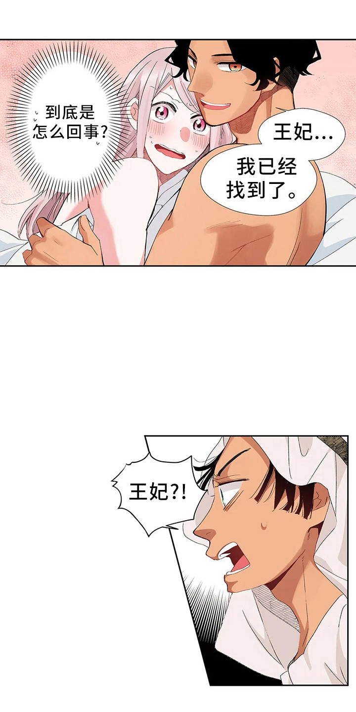 第5章：找到王妃了13