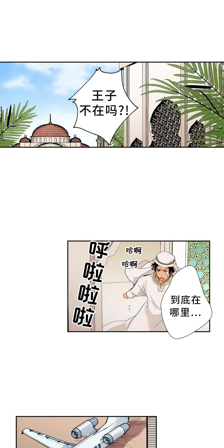 第1章：王子0