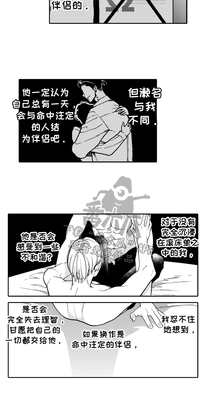 第17章：命中注定11