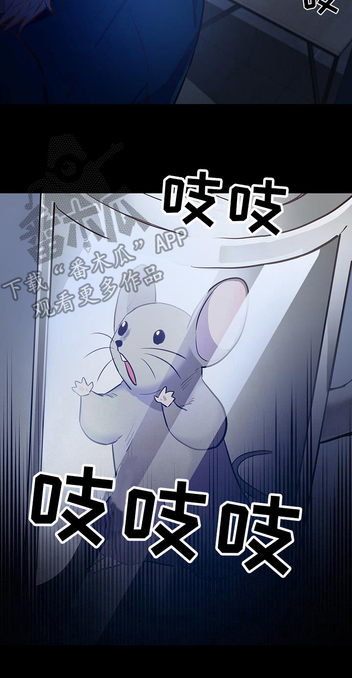 第6章：老鼠19