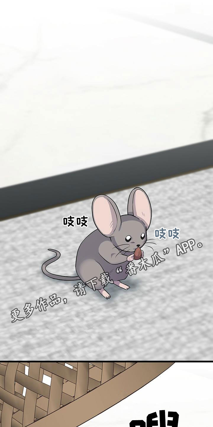 第29章：戒指0