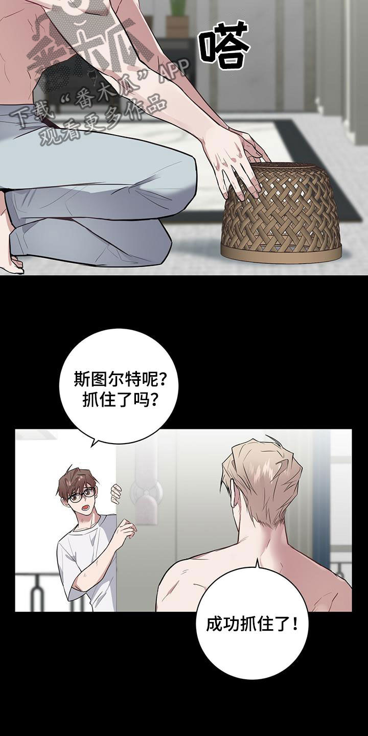 第29章：戒指2
