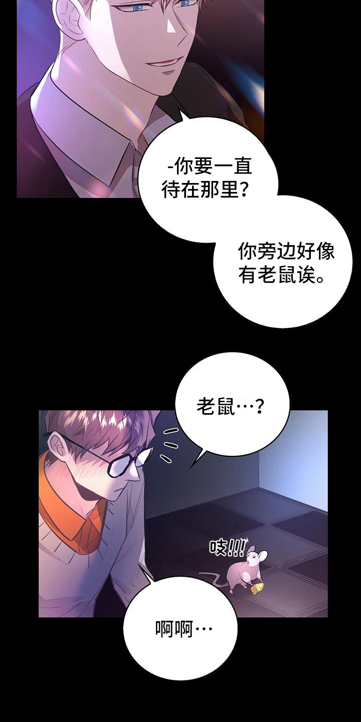 第6章：老鼠7