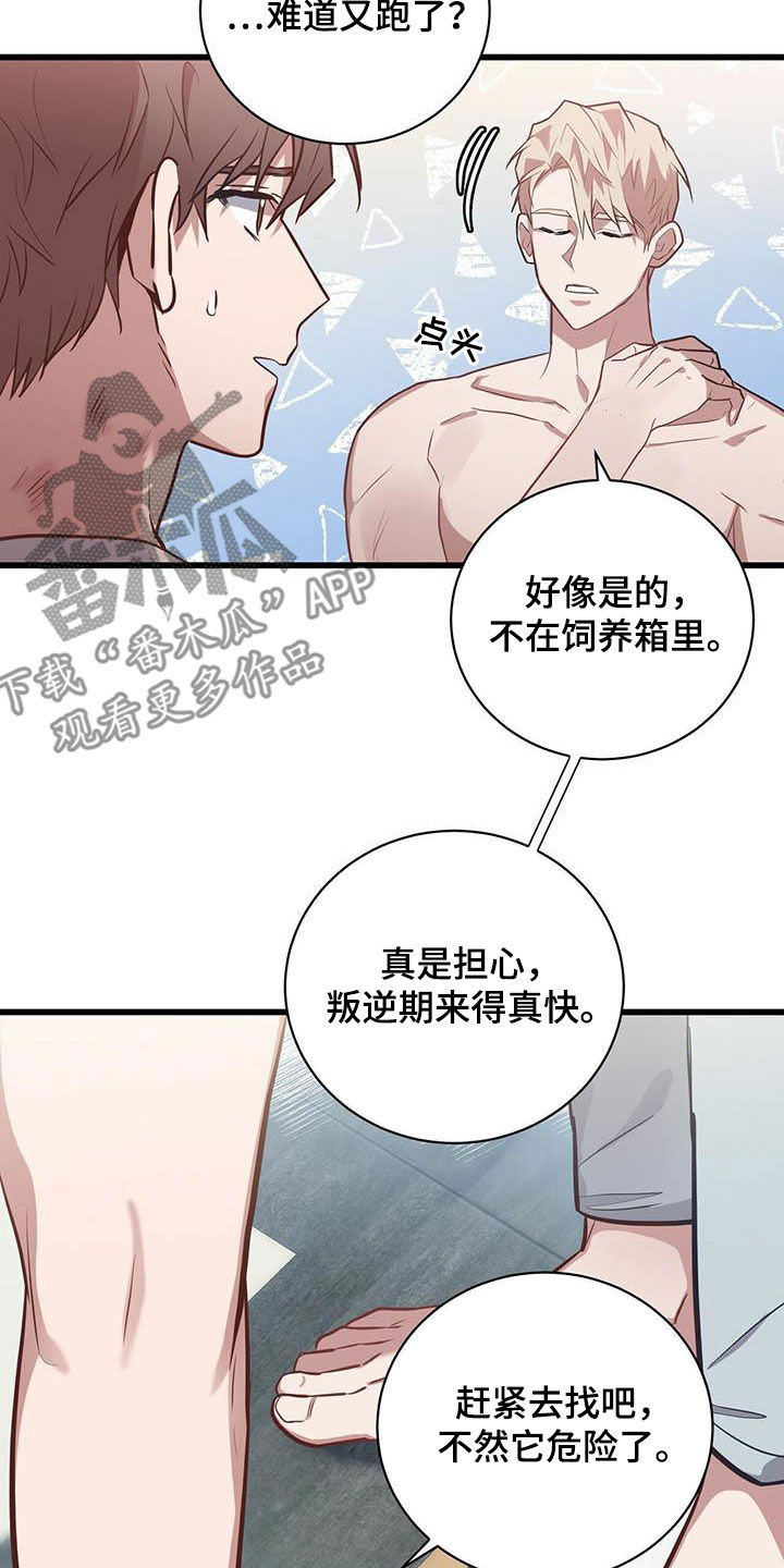 第28章：逗留一周18