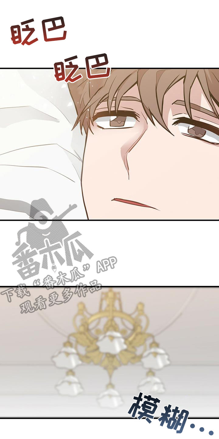 第15章：干部11