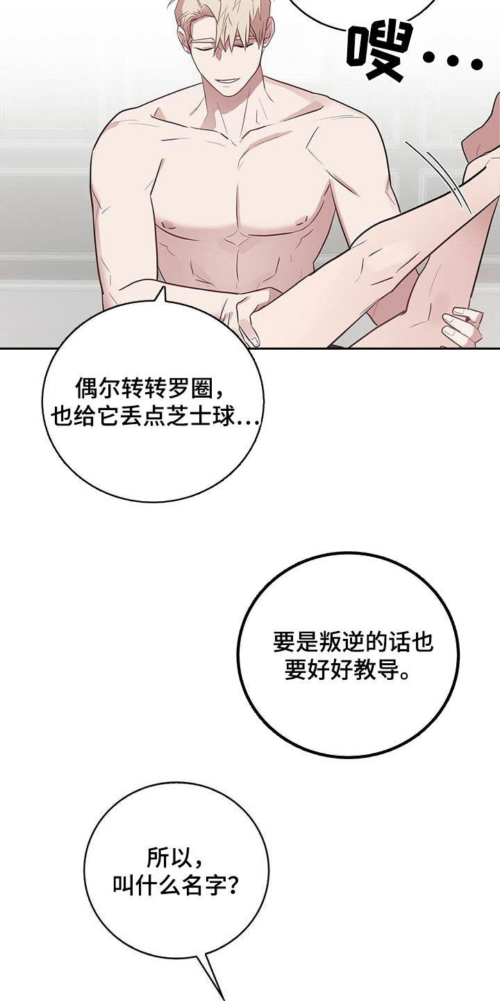 第28章：逗留一周12