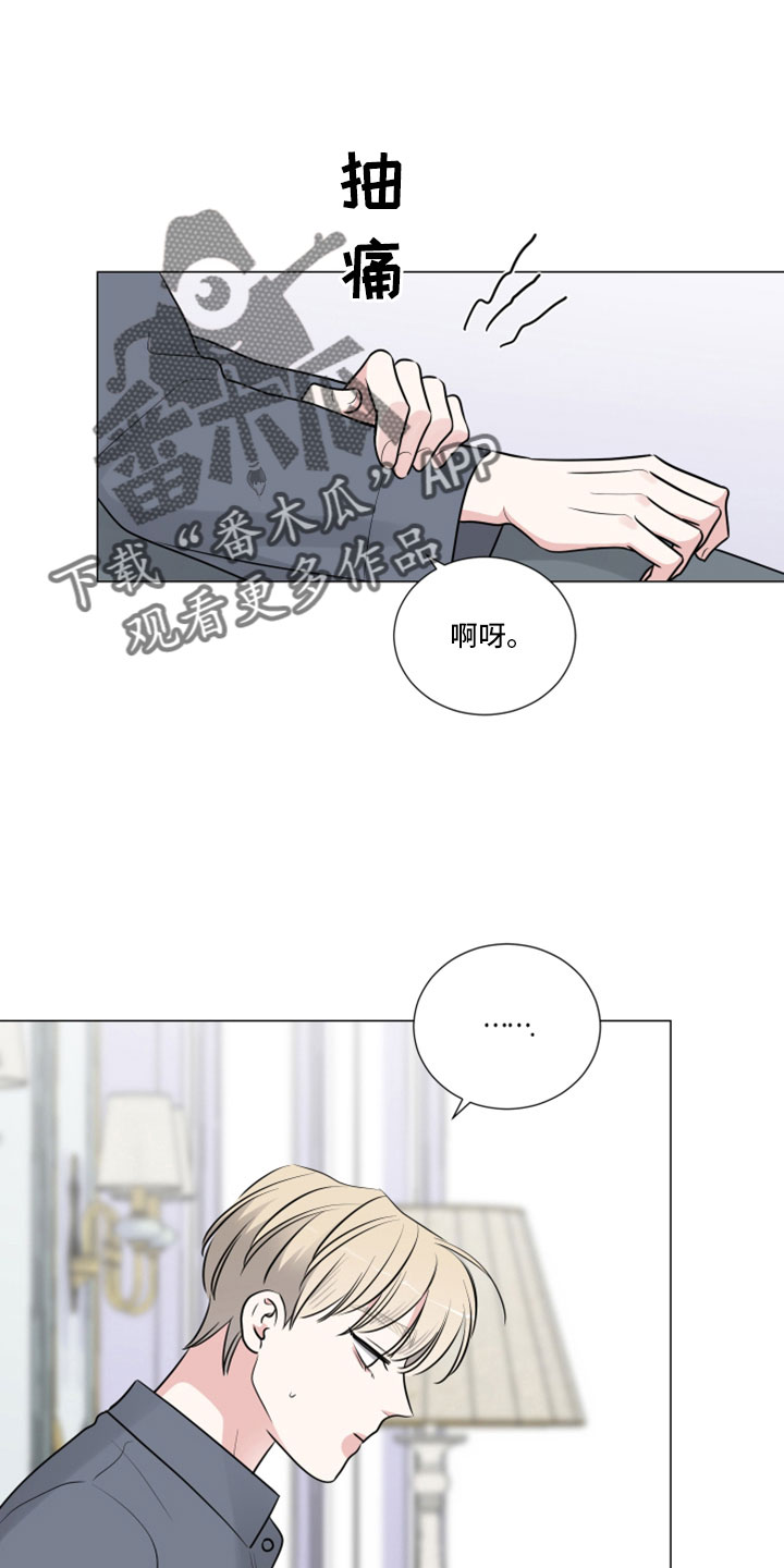 第114章：终于疯了18