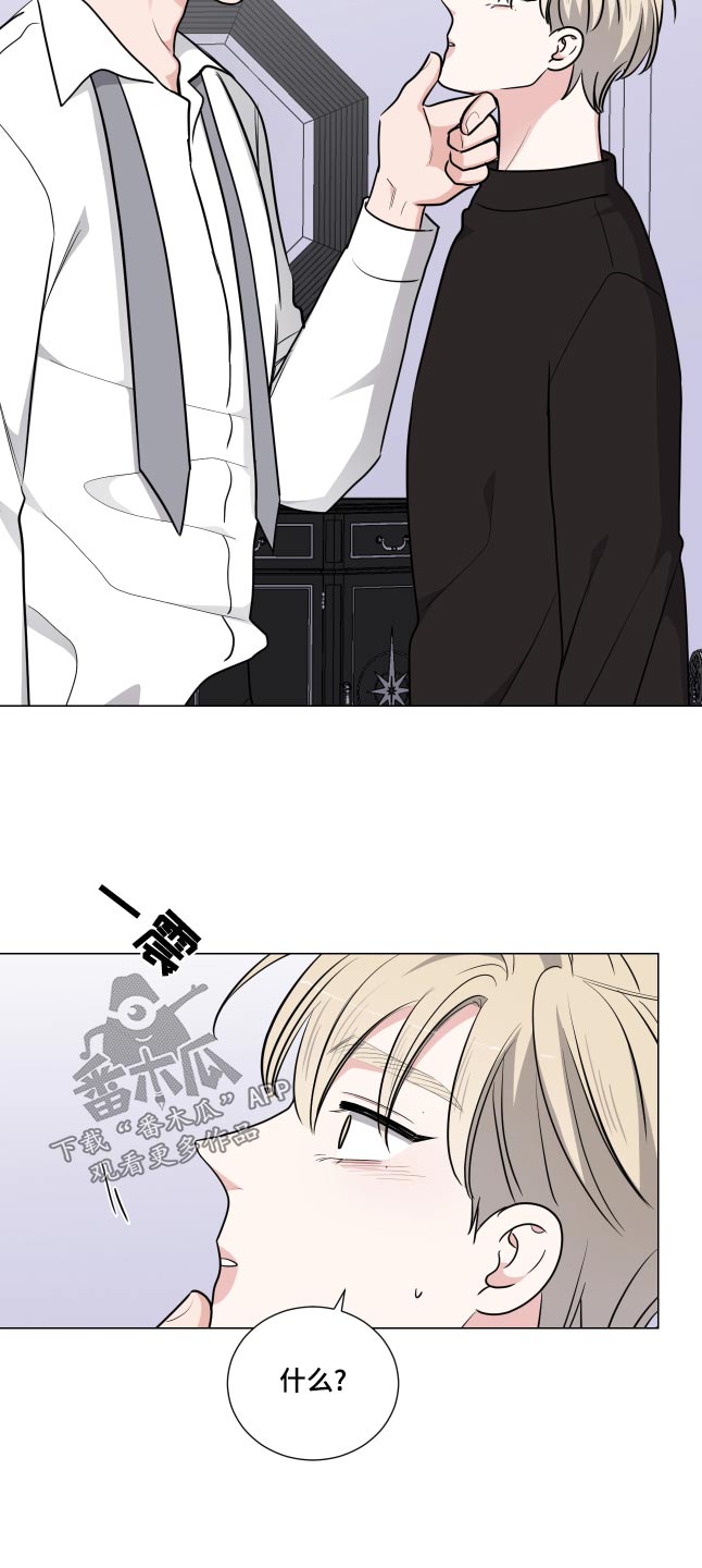 第76章：想法15