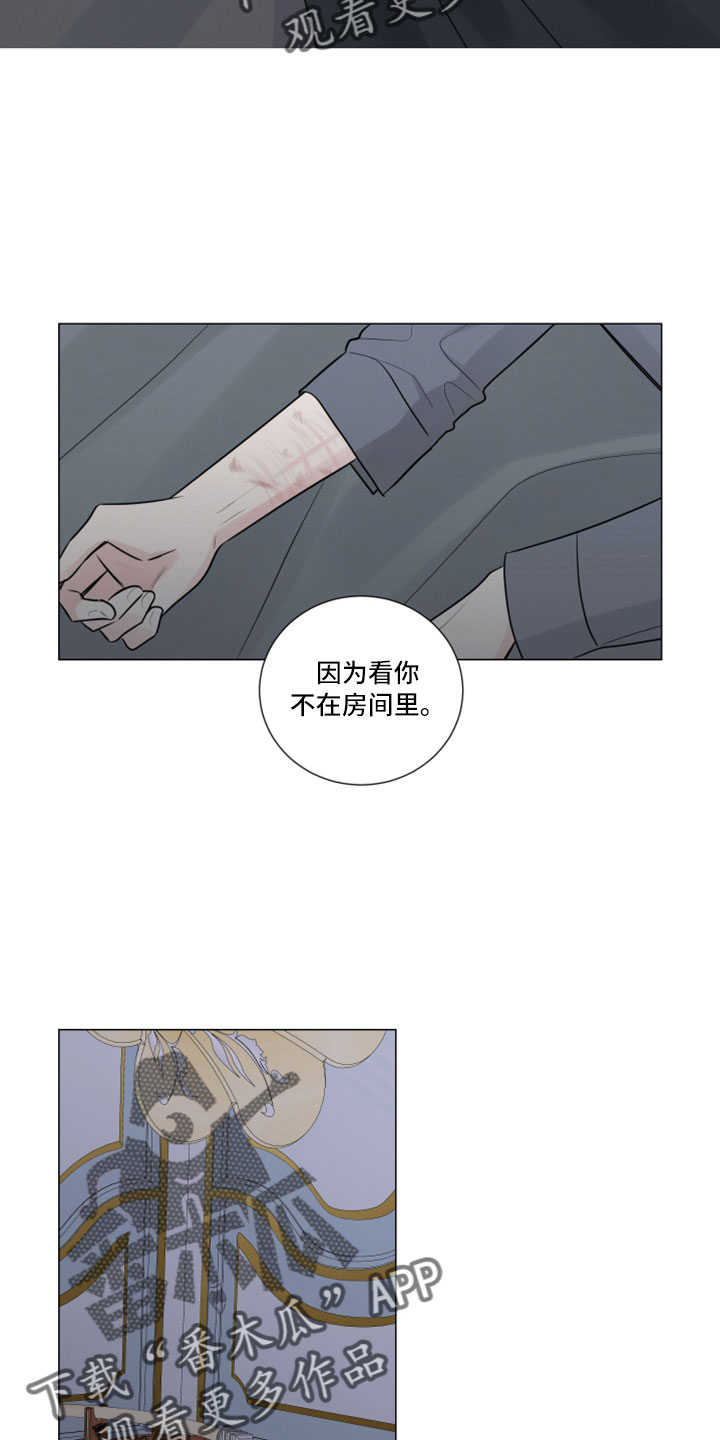 第114章：终于疯了12