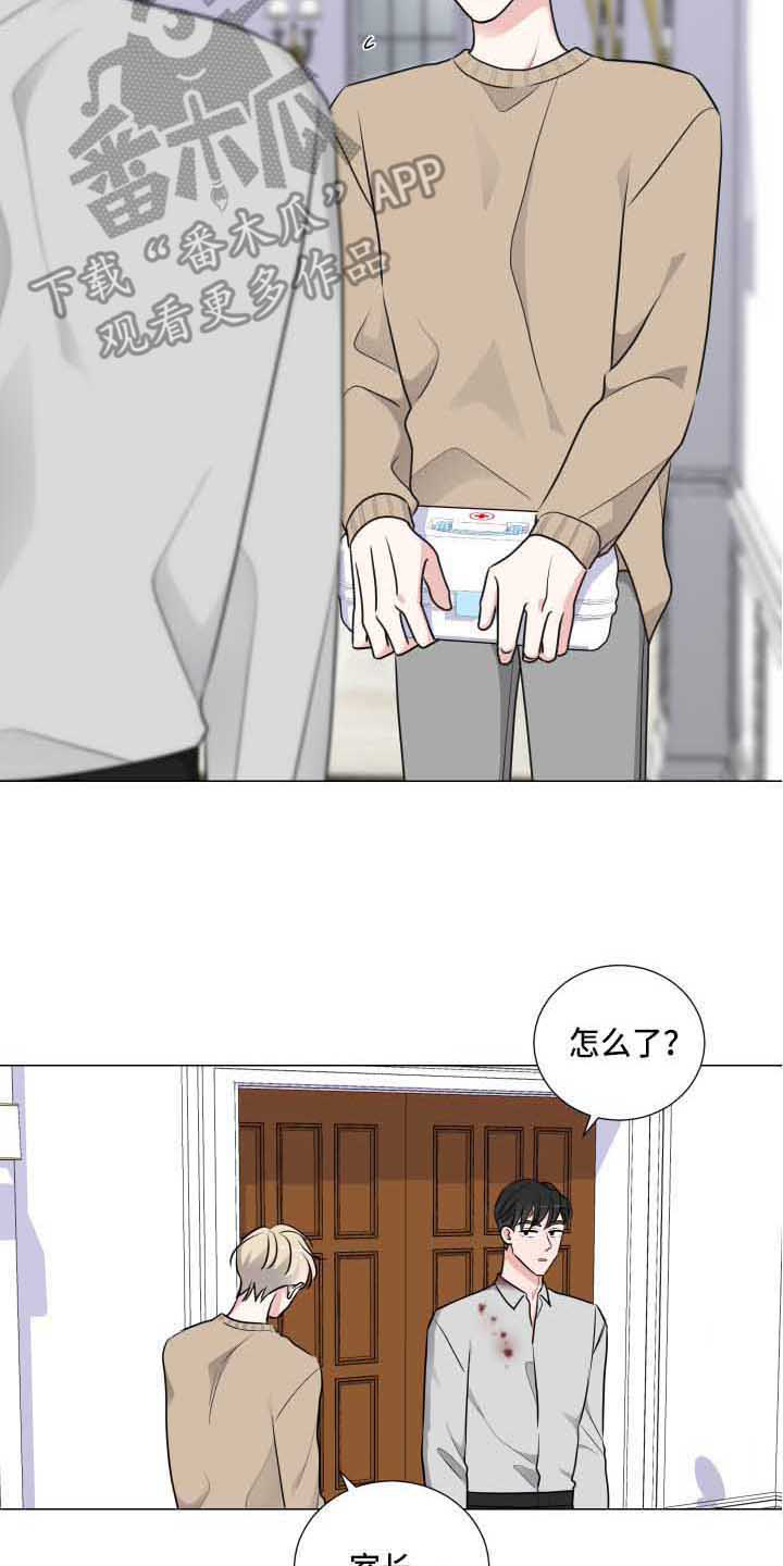 第15章：道歉6