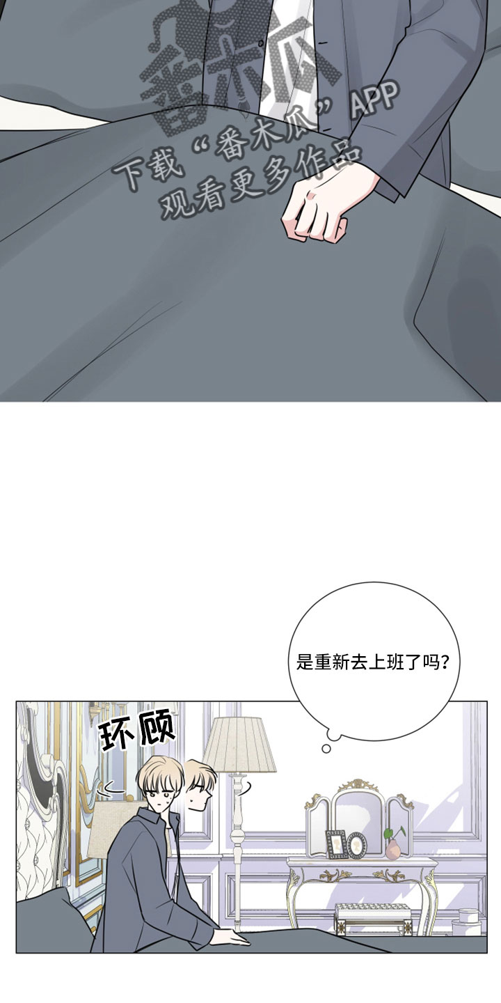 第114章：终于疯了17