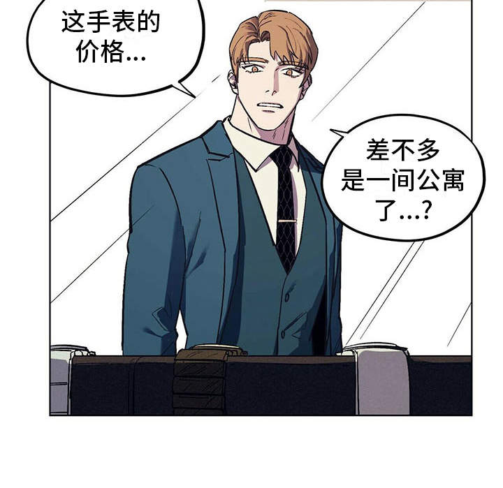 第13章：代表理事15