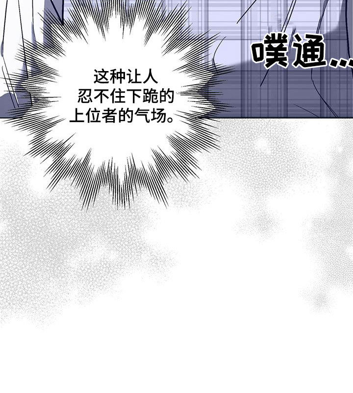 第37章：气场19