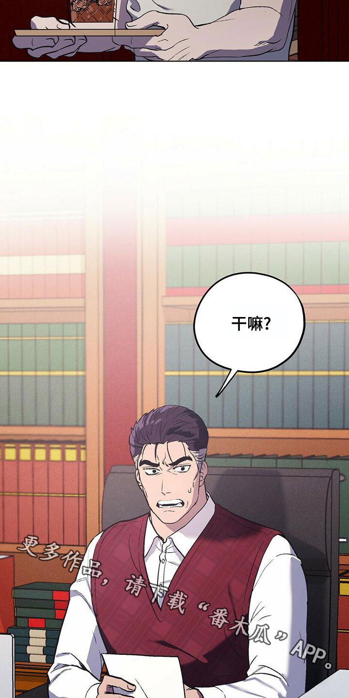 第52章：聊聊吧20