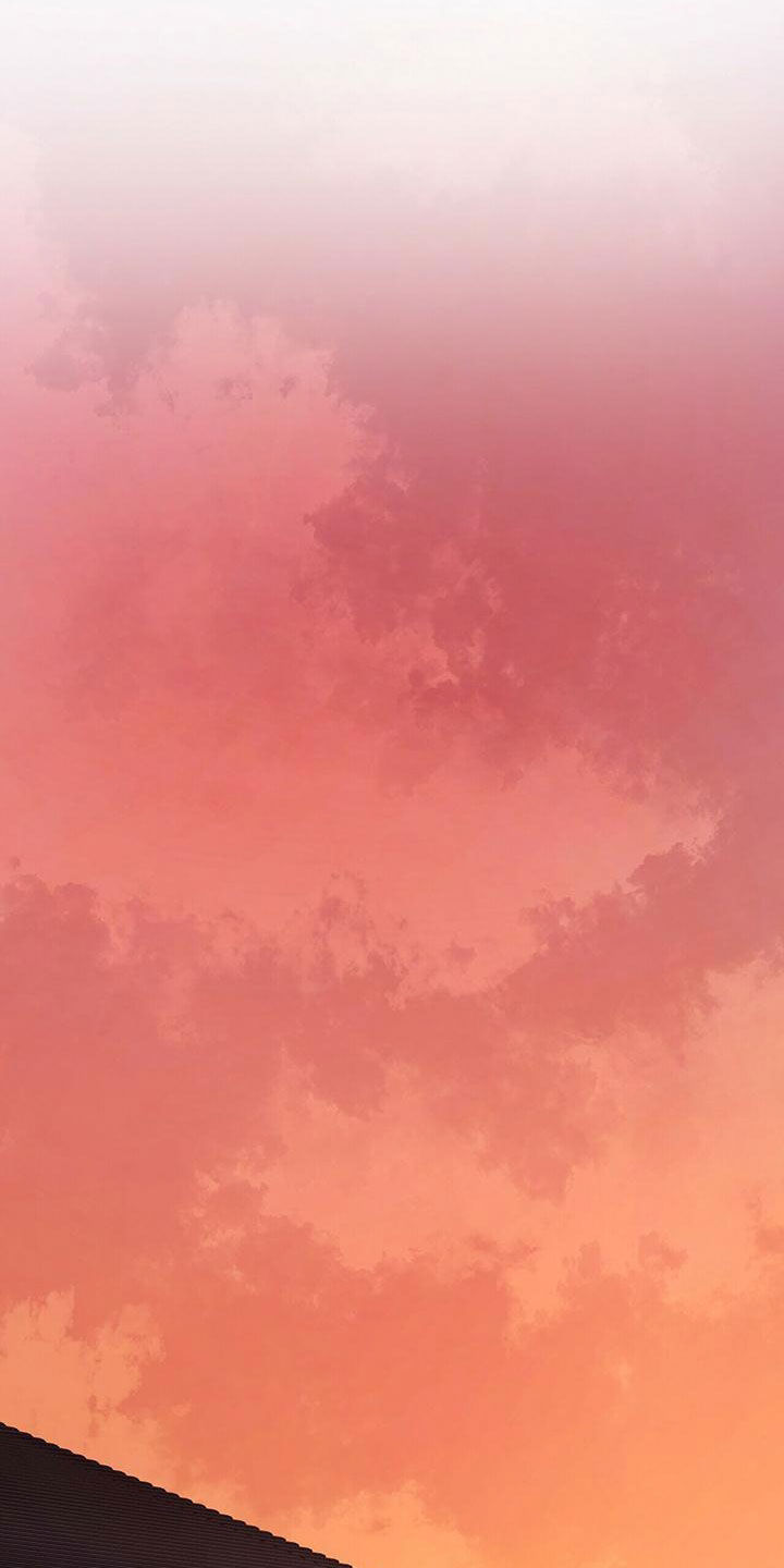 第55章：公公的攻势4