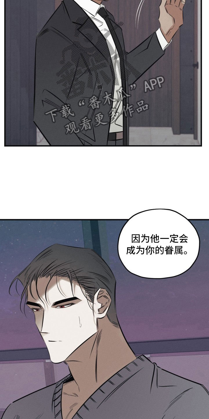 第4章：再来一次5