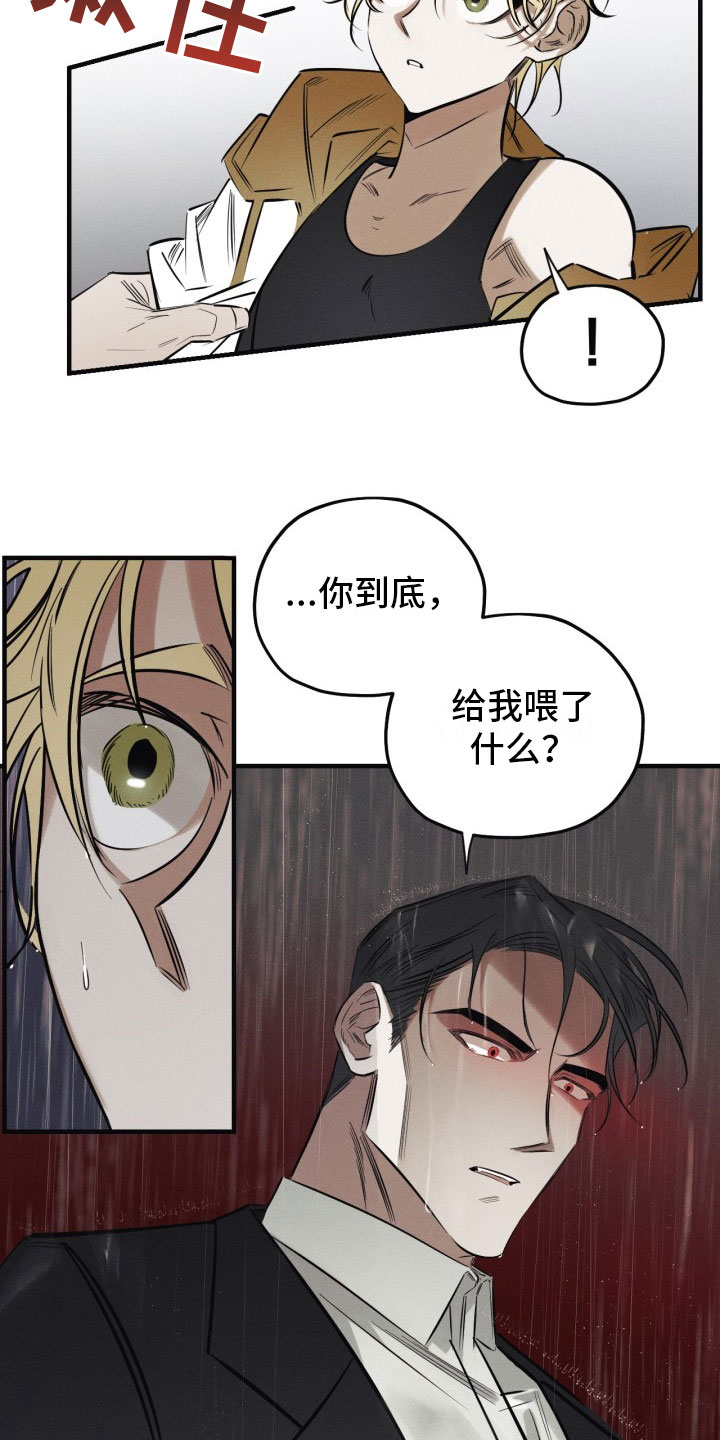 第1章：糖果19